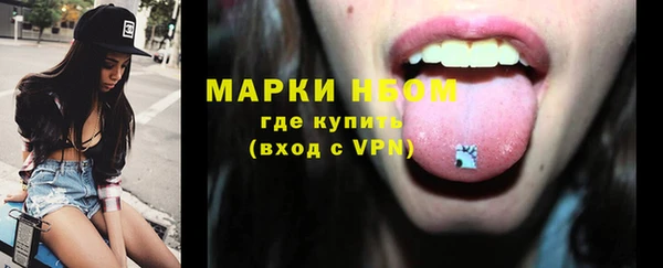 крисы Ессентукская